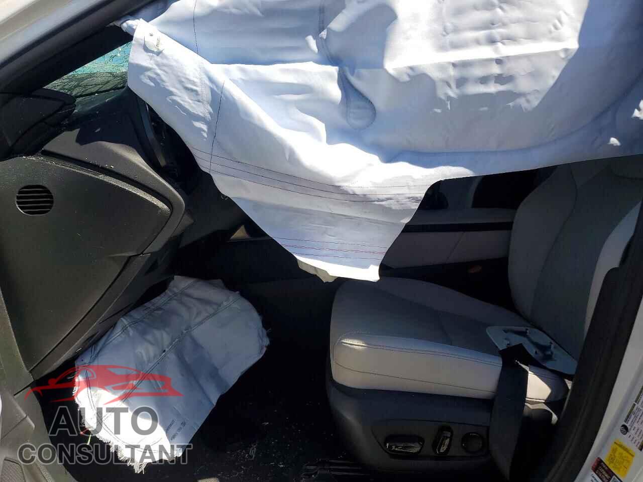LEXUS RX300 2024 - 2T2BBMCA9RC058010