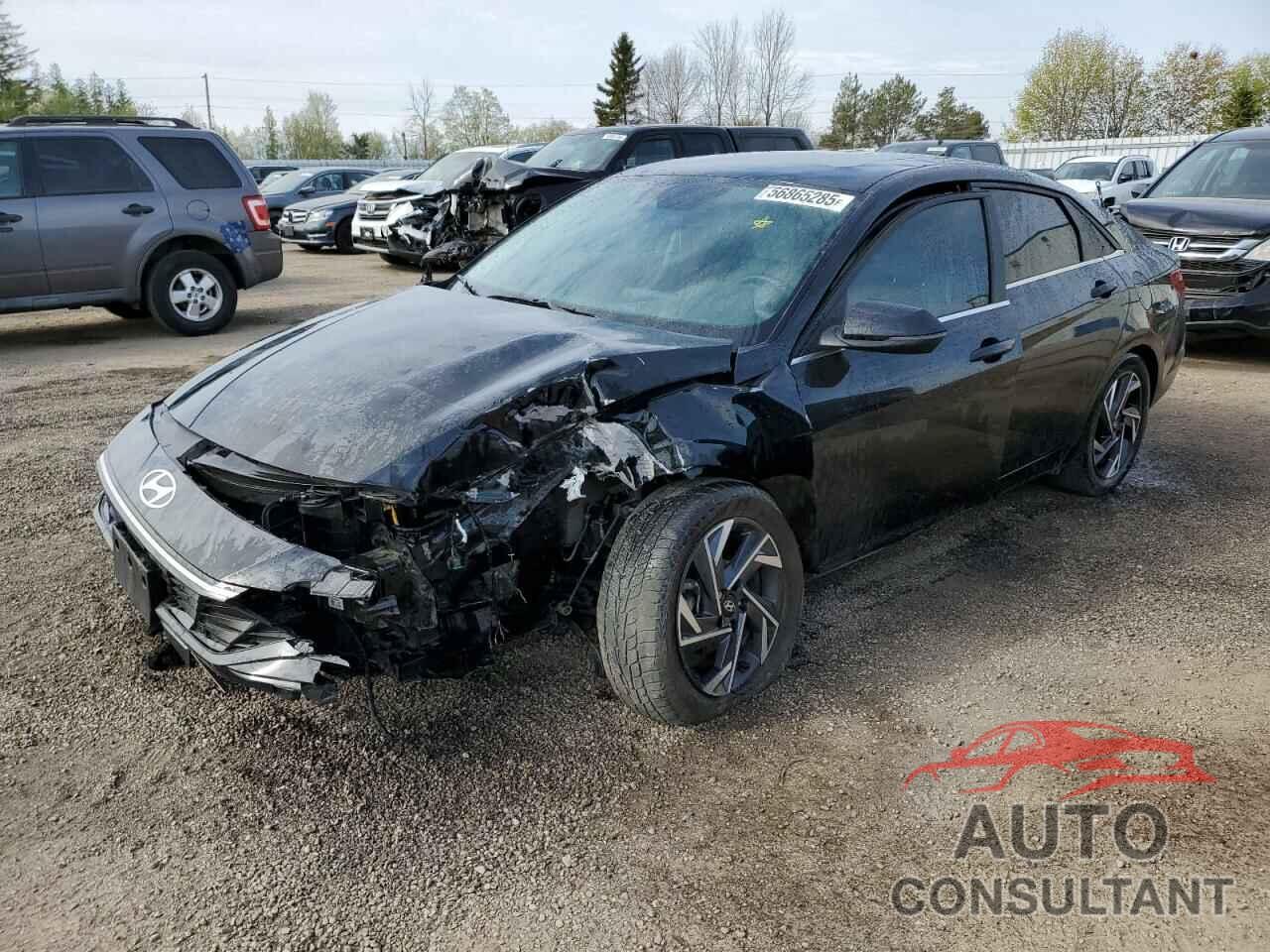 HYUNDAI ELANTRA LU 2024 - KMHLN4DGXRU775954