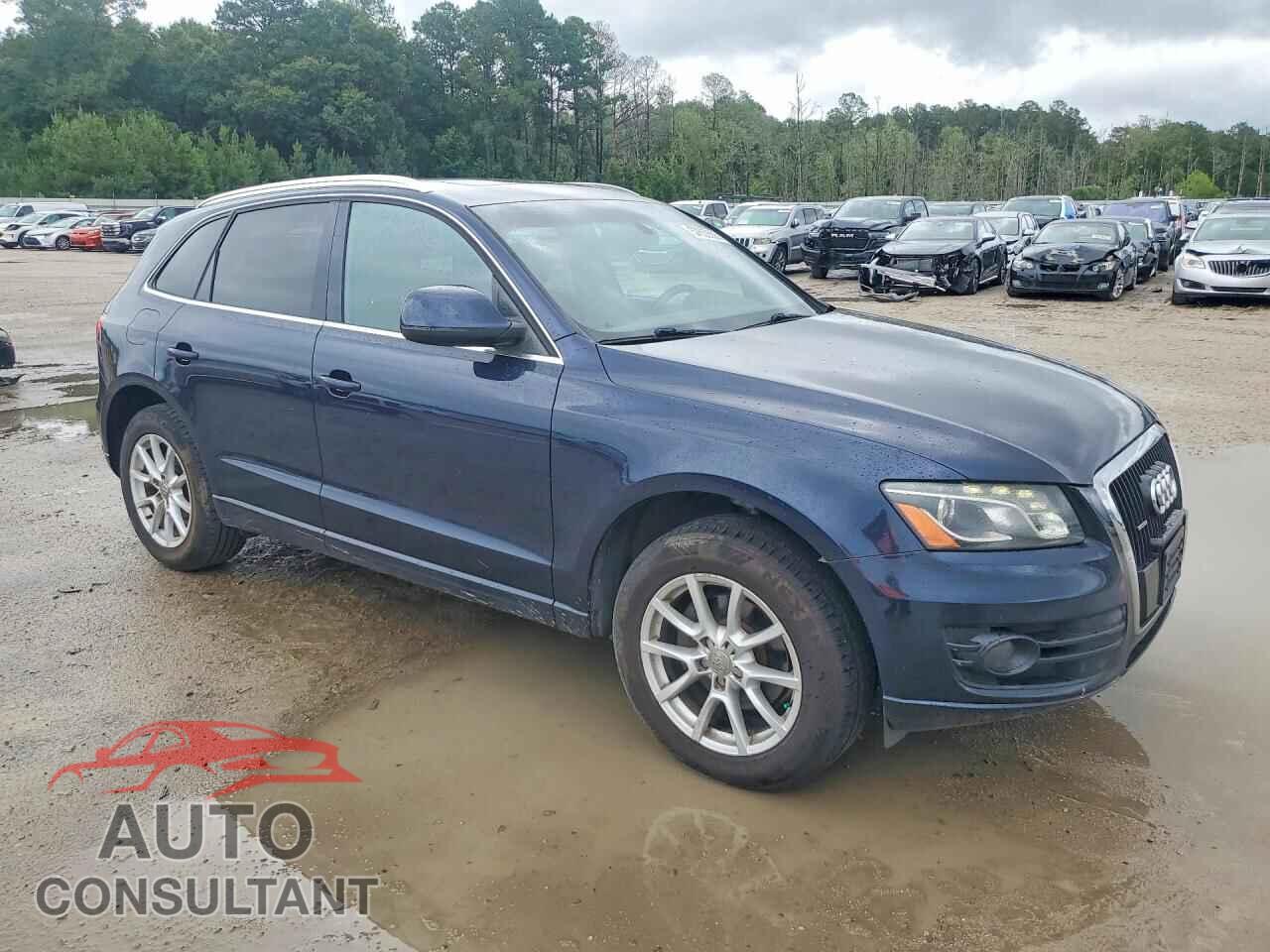 AUDI Q5 2010 - WA1LKAFPXAA012230