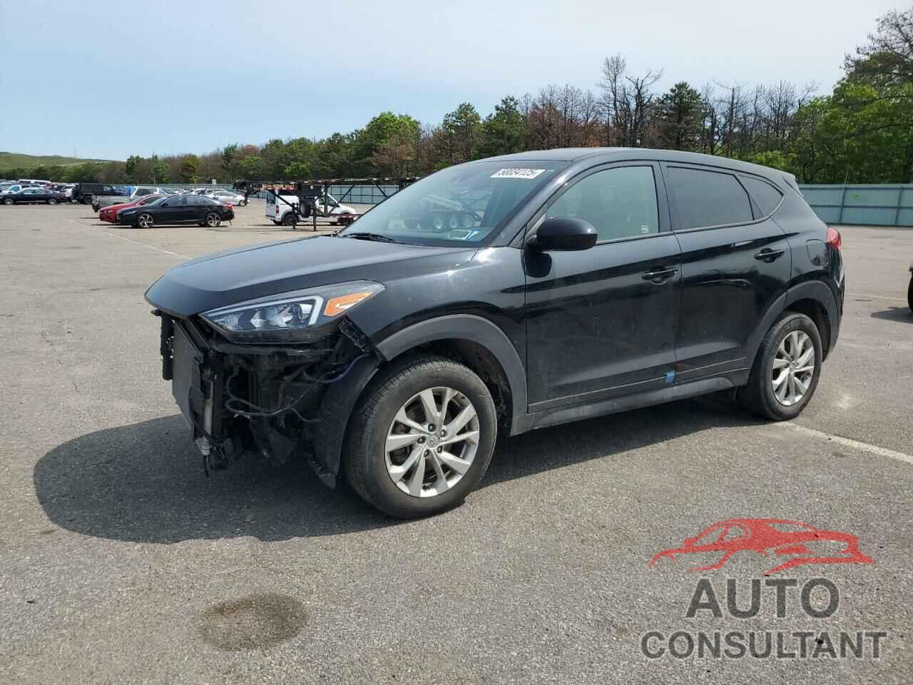 HYUNDAI TUCSON 2019 - KM8J2CA4XKU044516