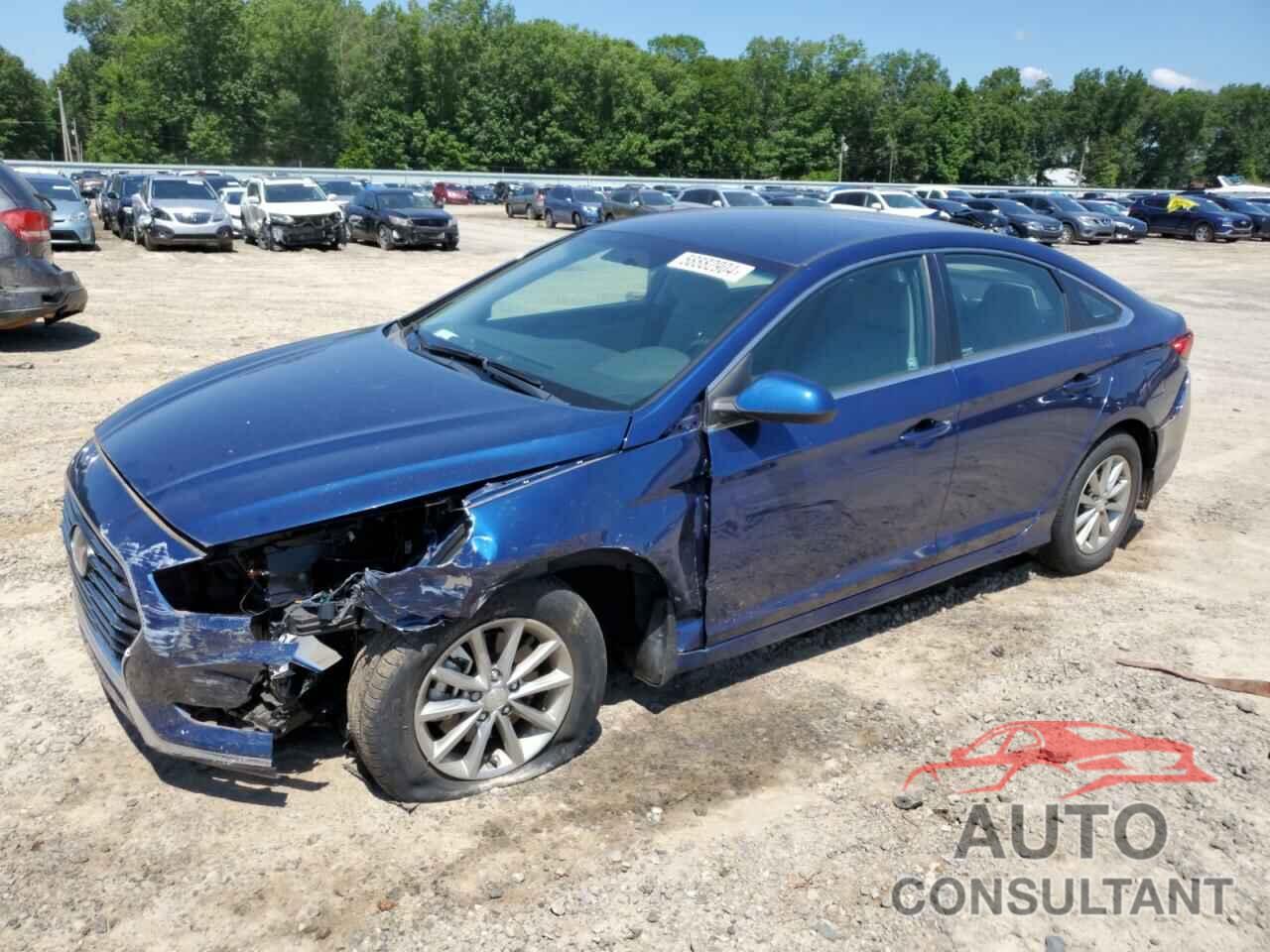 HYUNDAI SONATA 2019 - 5NPE24AFXKH805679