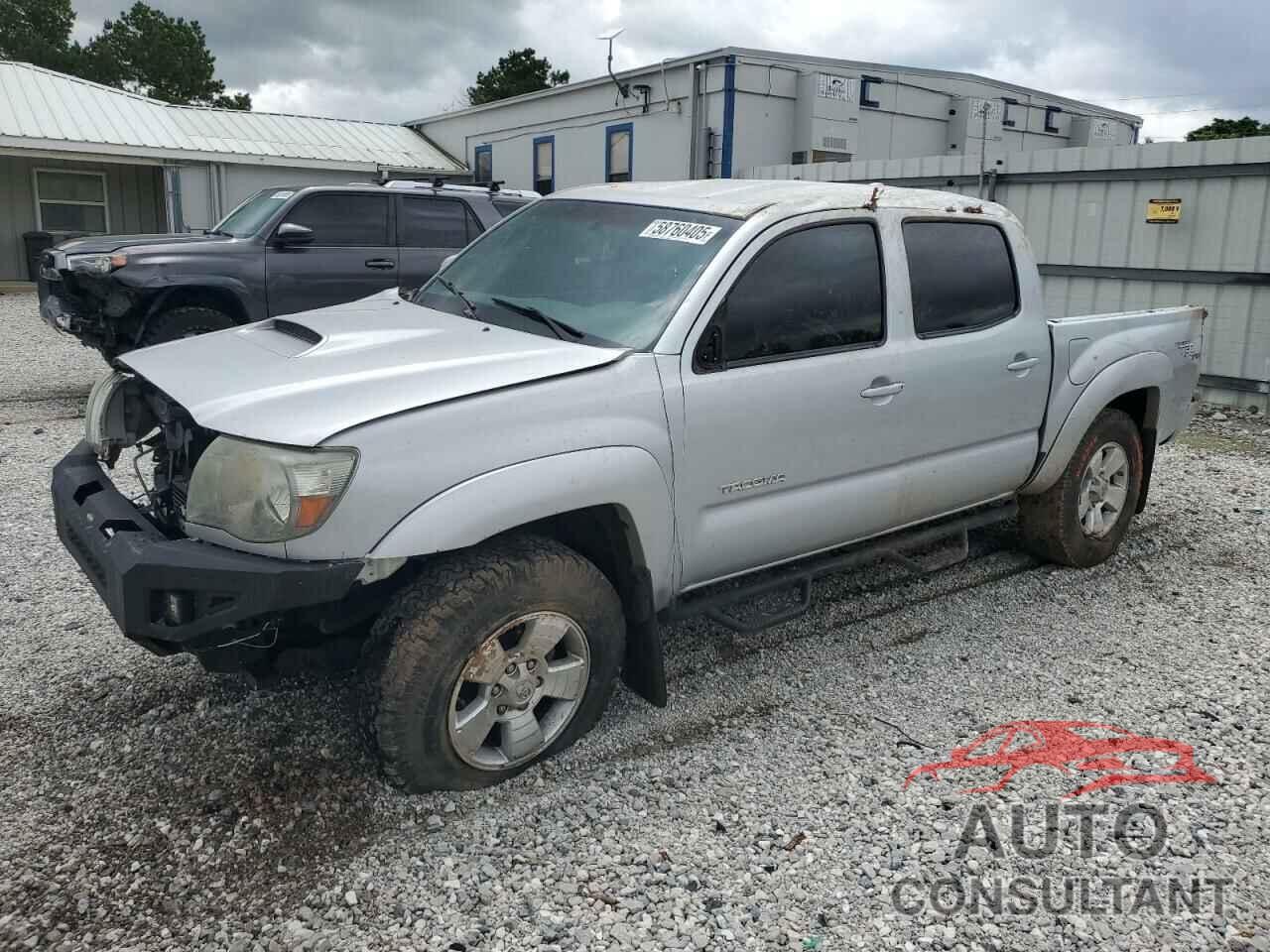 TOYOTA TACOMA 2009 - 3TMJU62N19M089723
