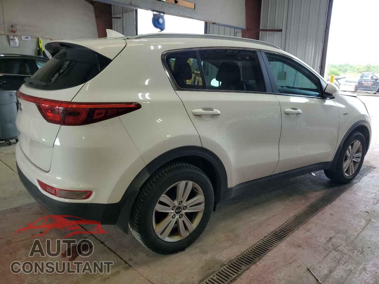 KIA SPORTAGE 2017 - KNDPMCAC4H7163573
