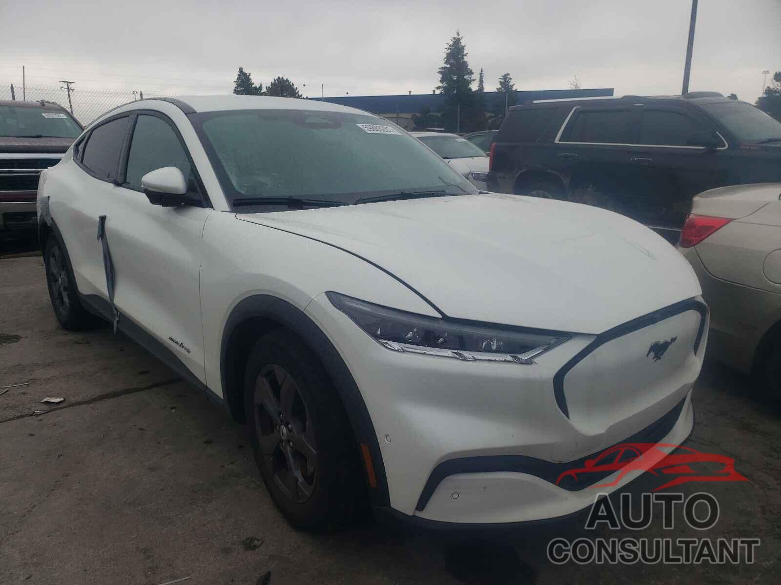 FORD MUSTANG 2021 - 3FMTK1SS2MMA26254