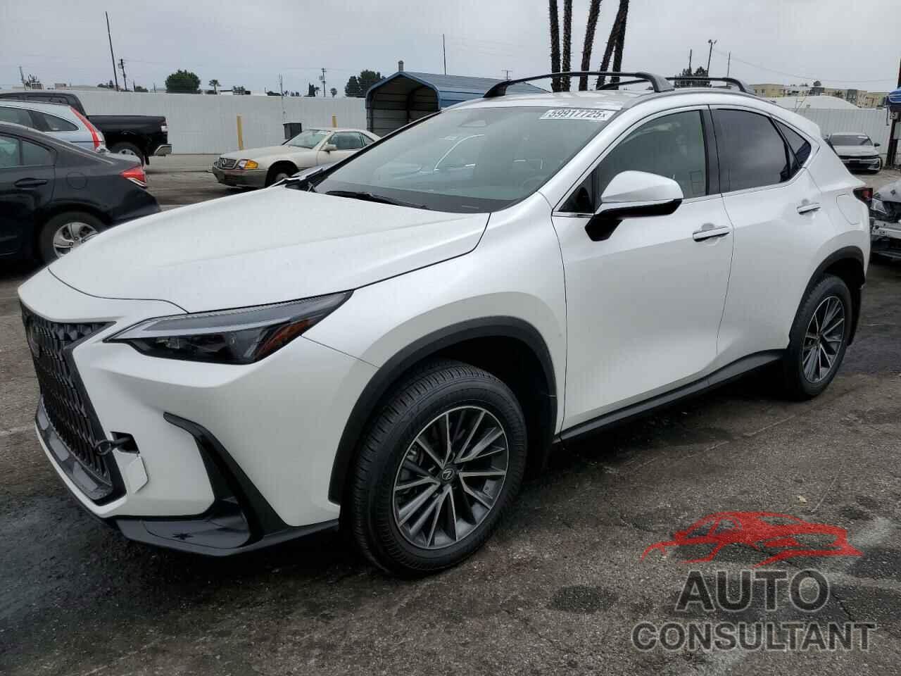 LEXUS NX 250 2023 - JTJADCAZ5P5011769