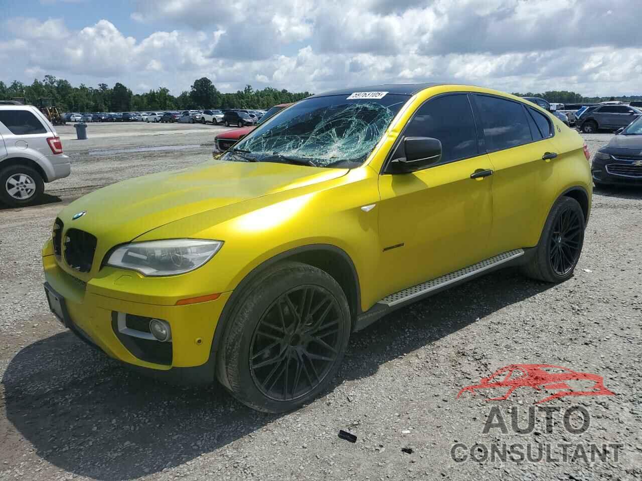 BMW X6 2014 - 5UXFG2C56E0C44933