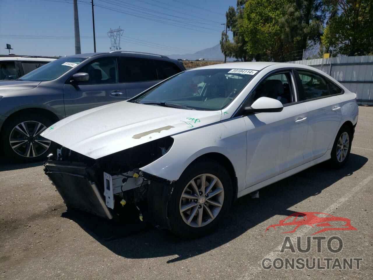 HYUNDAI SONATA 2019 - 5NPE24AF1KH734145