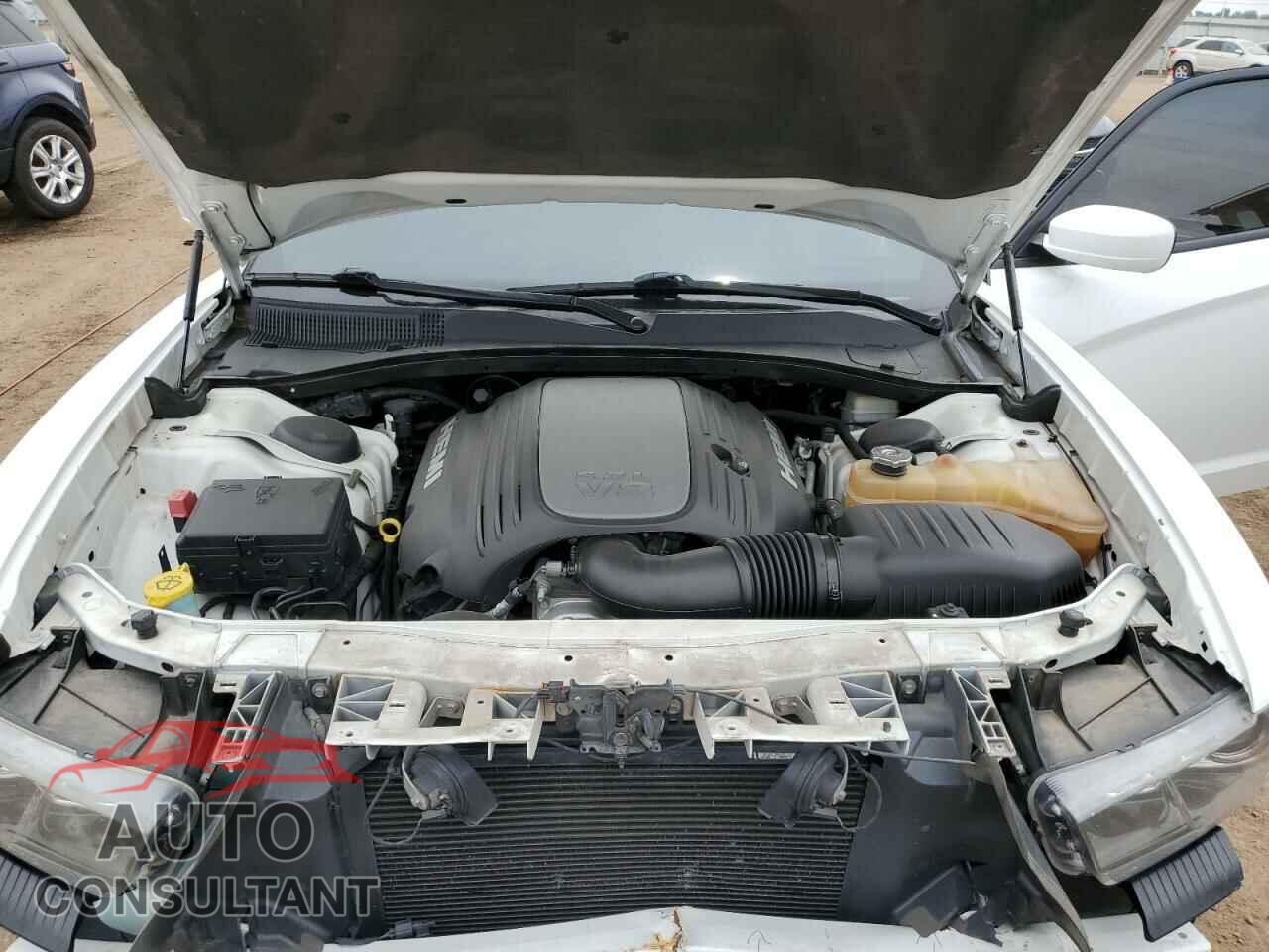 DODGE CHARGER 2013 - 2C3CDXDT3DH503459