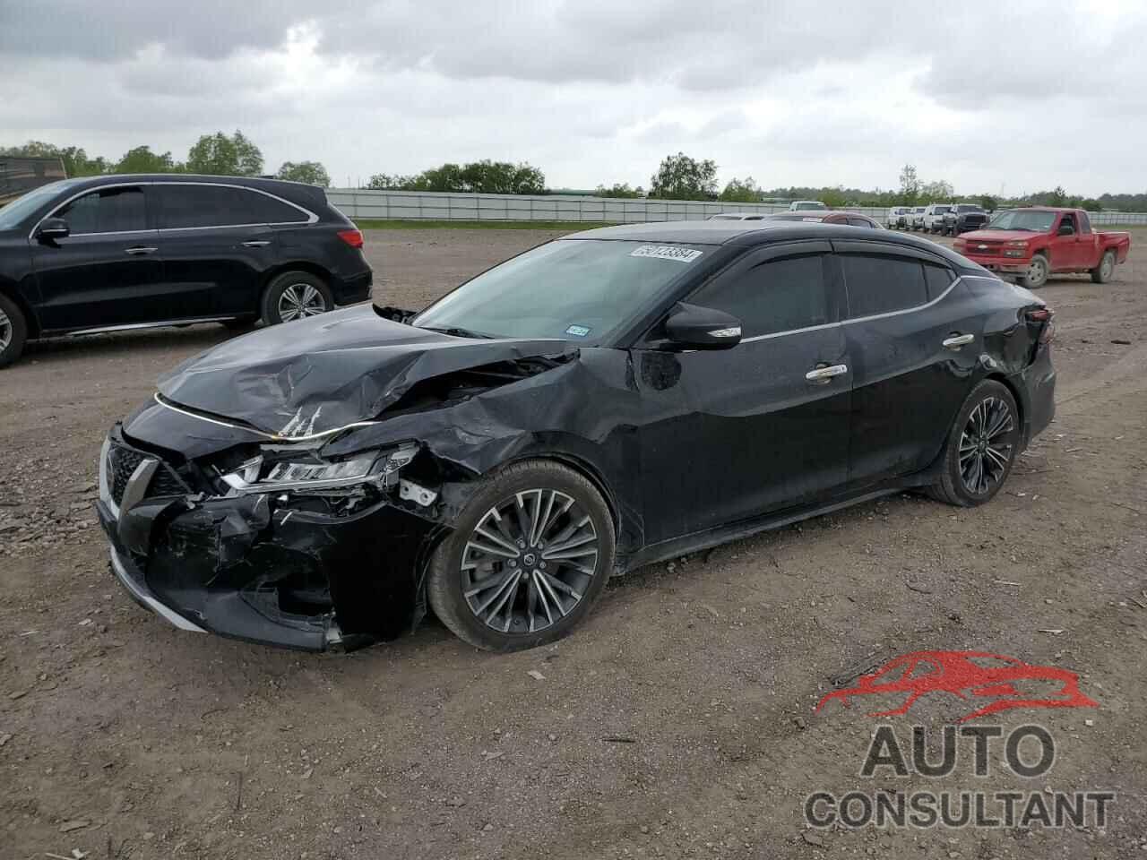 NISSAN MAXIMA 2019 - 1N4AA6AV9KC360650