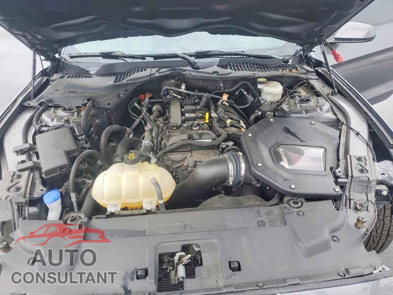 FORD MUSTANG 2022 - 1FA6P8TH5N5130362
