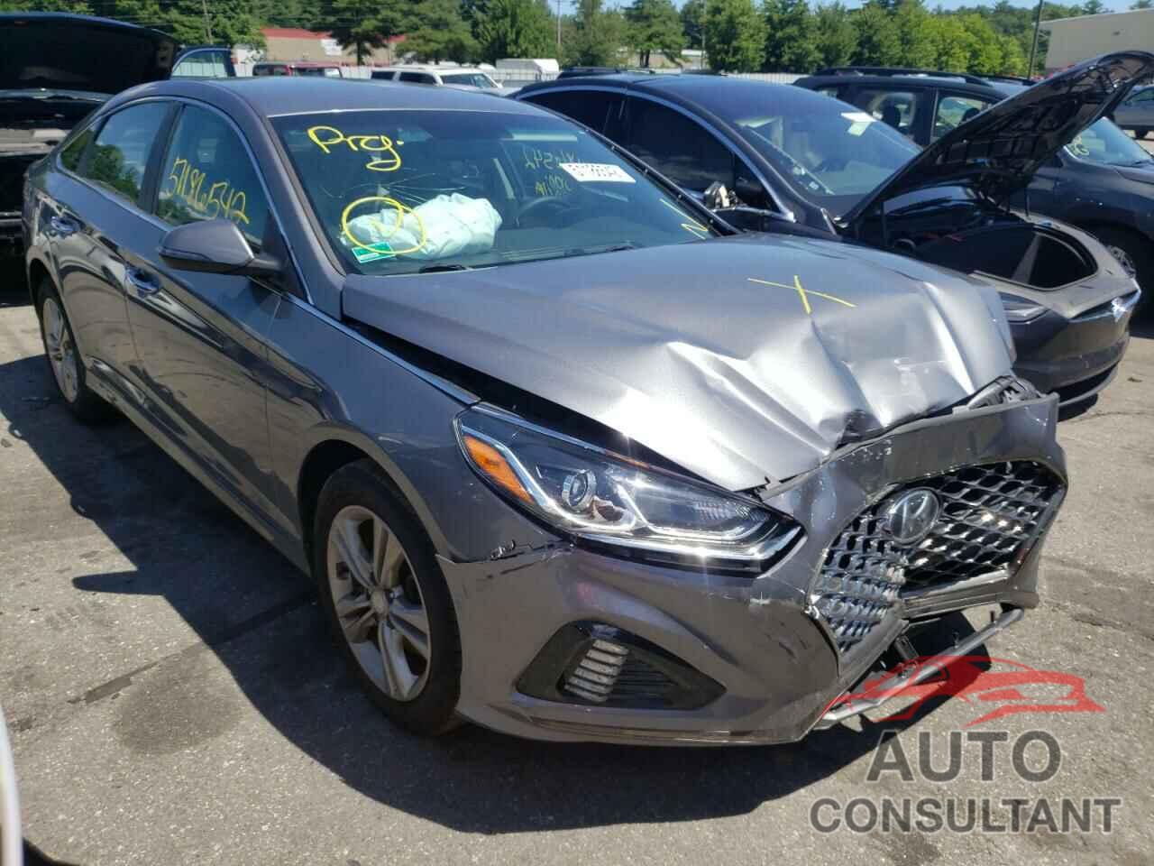 HYUNDAI SONATA 2019 - 5NPE34AF0KH794284