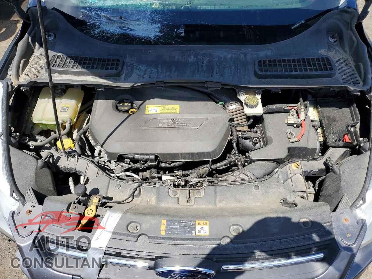 FORD ESCAPE 2013 - 1FMCU9GX1DUD14274