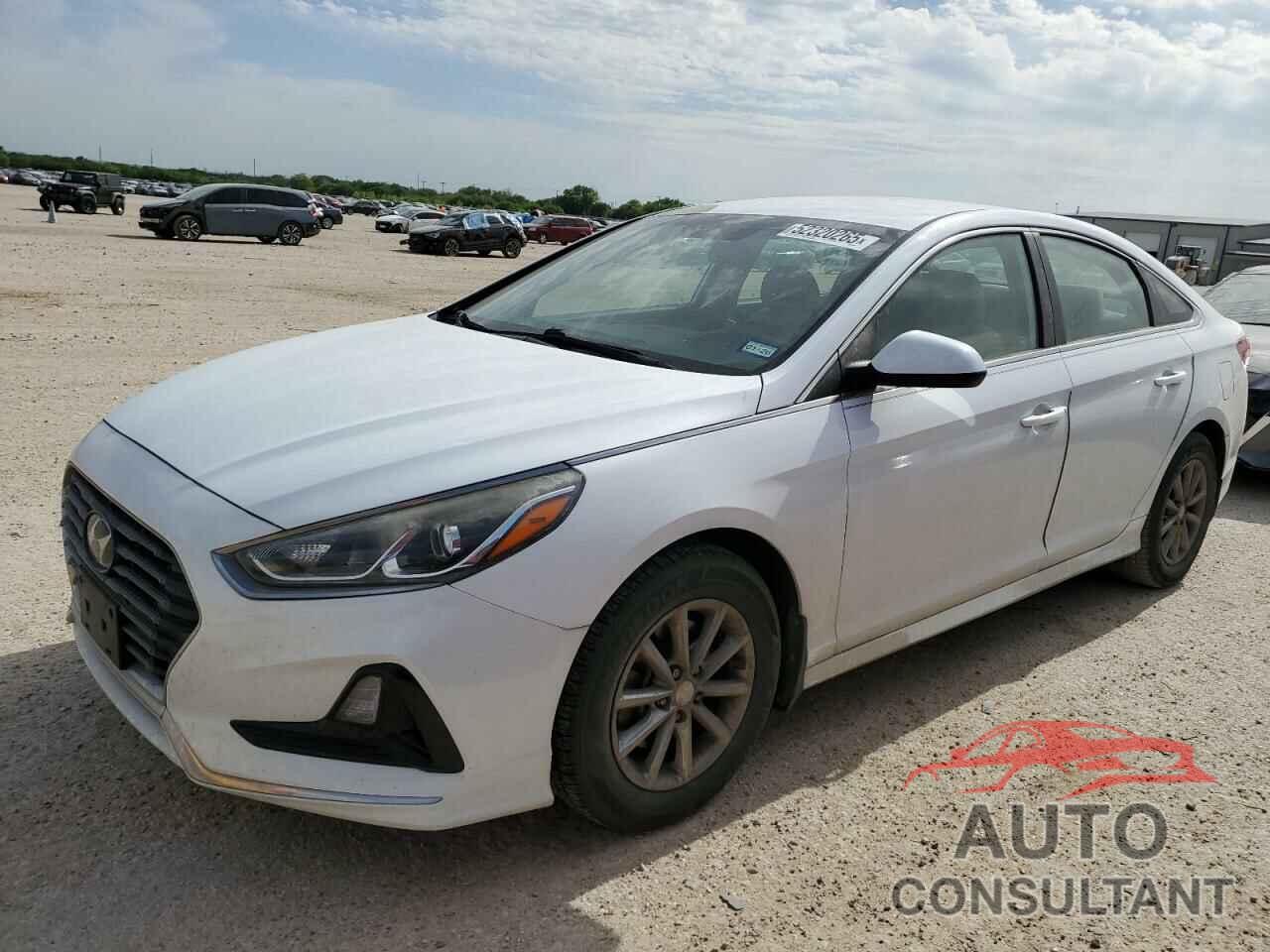 HYUNDAI SONATA 2019 - 5NPE24AF1KH736493