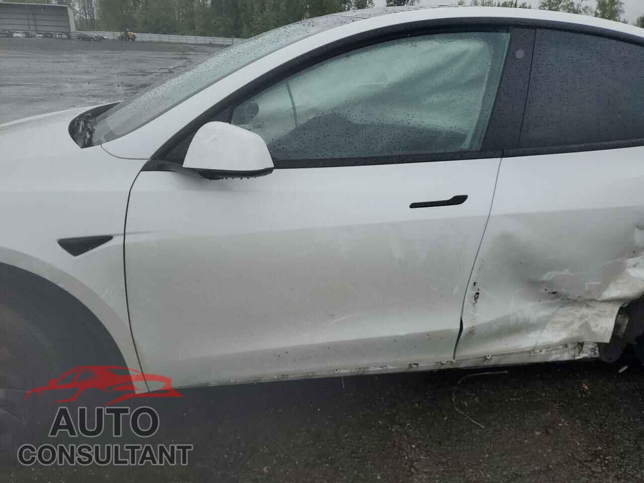 TESLA MODEL Y 2022 - 7SAYGDEF3NF364802