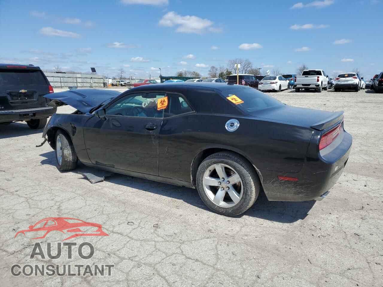 DODGE CHALLENGER 2014 - 2C3CDYBT9EH224897
