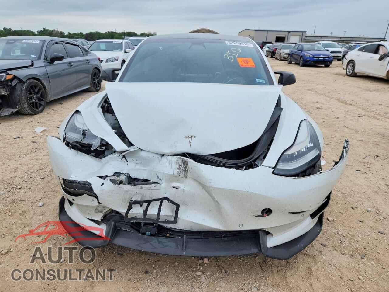 TESLA MODEL 3 2019 - 5YJ3E1EB0KF487266