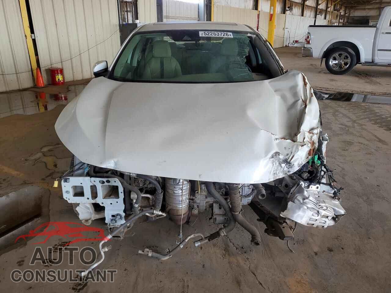 HONDA CIVIC 2019 - 19XFC1F75KE011663