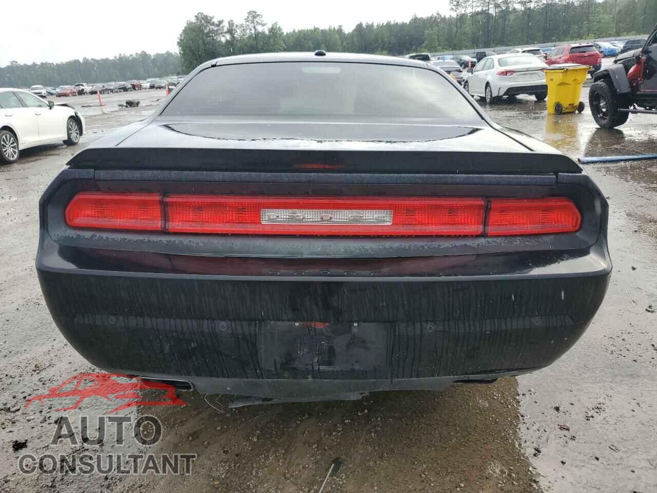 DODGE CHALLENGER 2013 - 2C3CDYAG0DH500287
