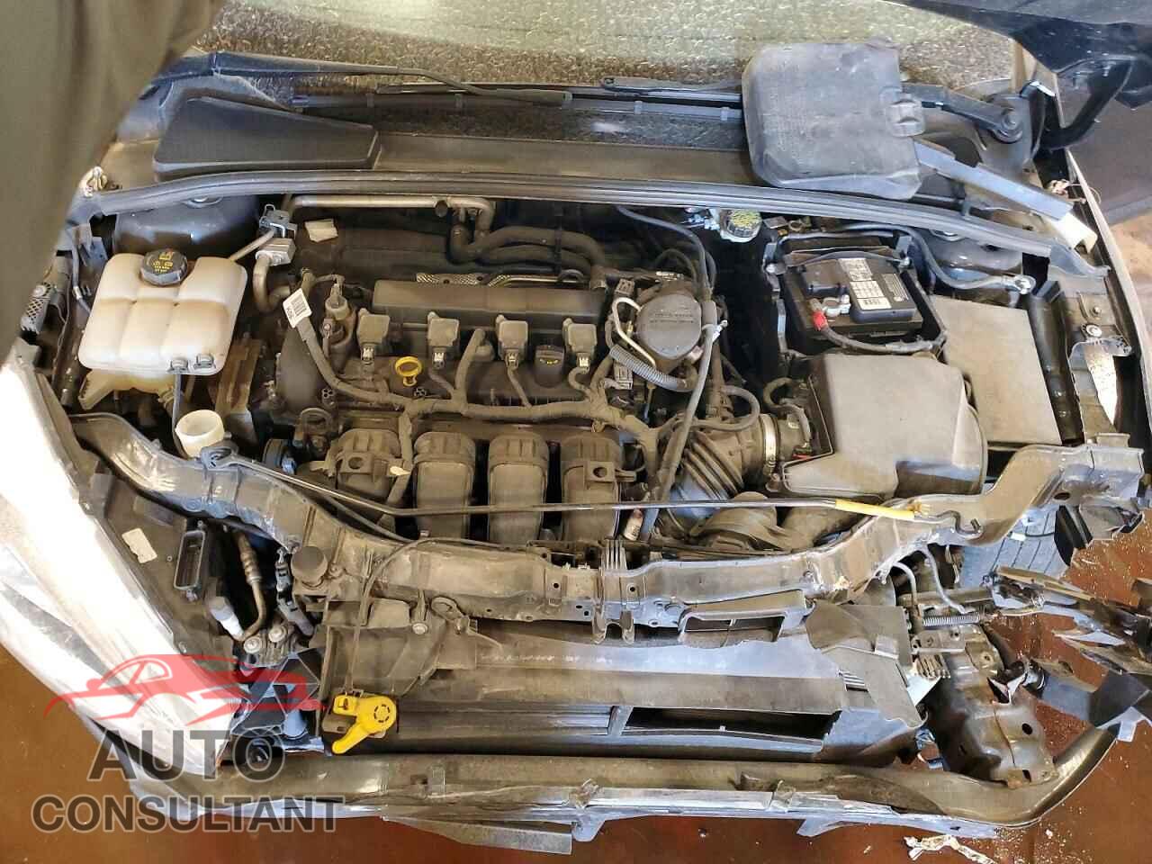 FORD FOCUS 2015 - 1FADP3F21FL383094