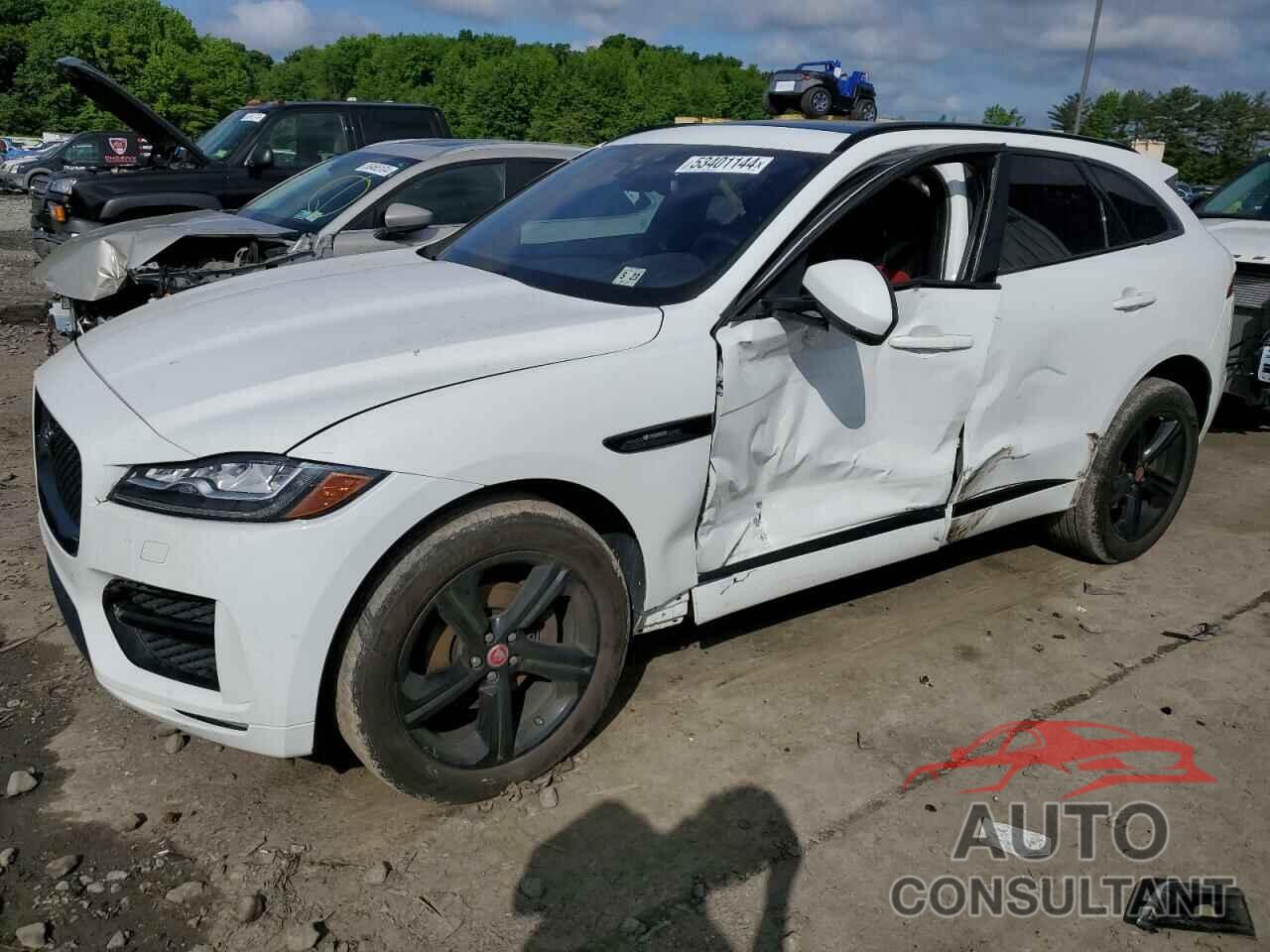 JAGUAR F-PACE 2018 - SADCL2FX1JA320478