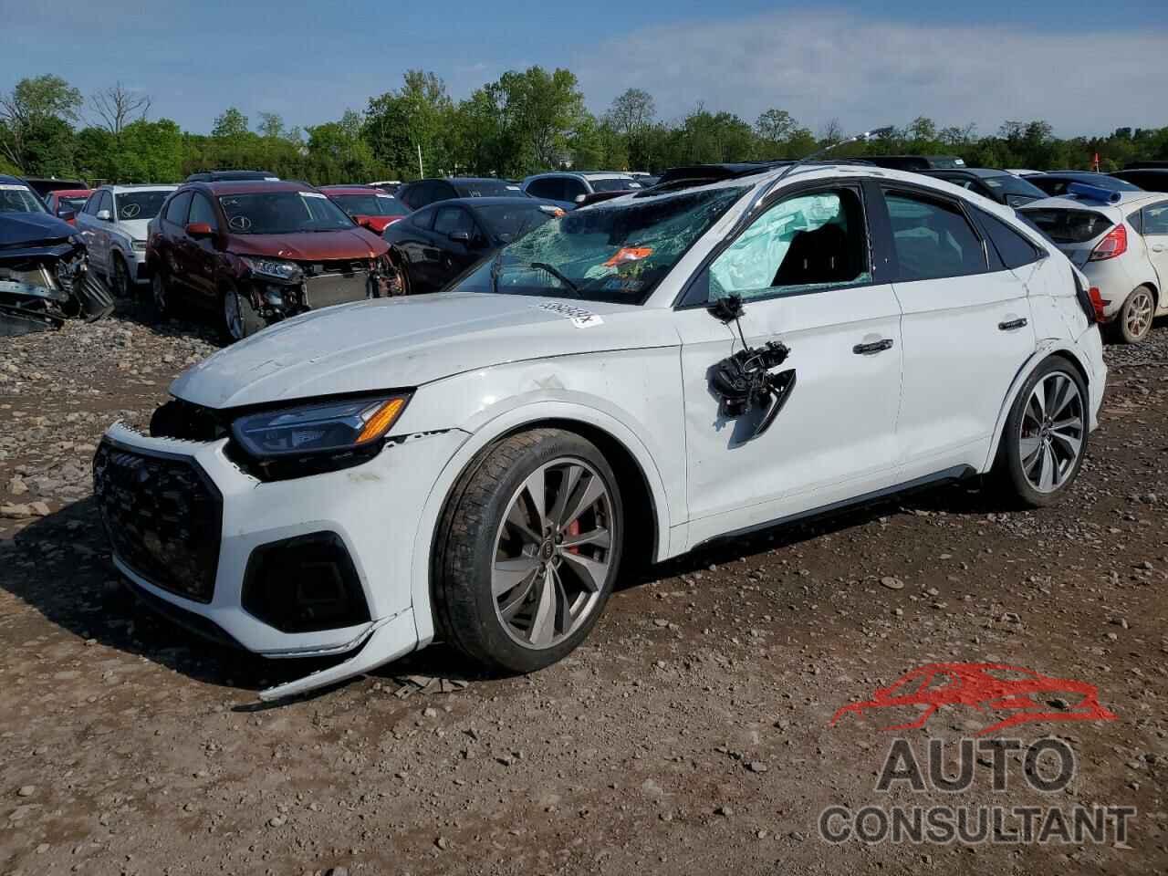 AUDI SQ5 SPORTB 2023 - WA124AFY7P2025034