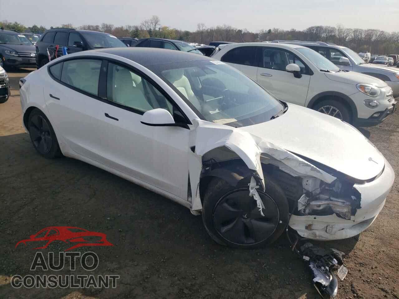 TESLA MODEL 3 2021 - 5YJ3E1EA7MF853816