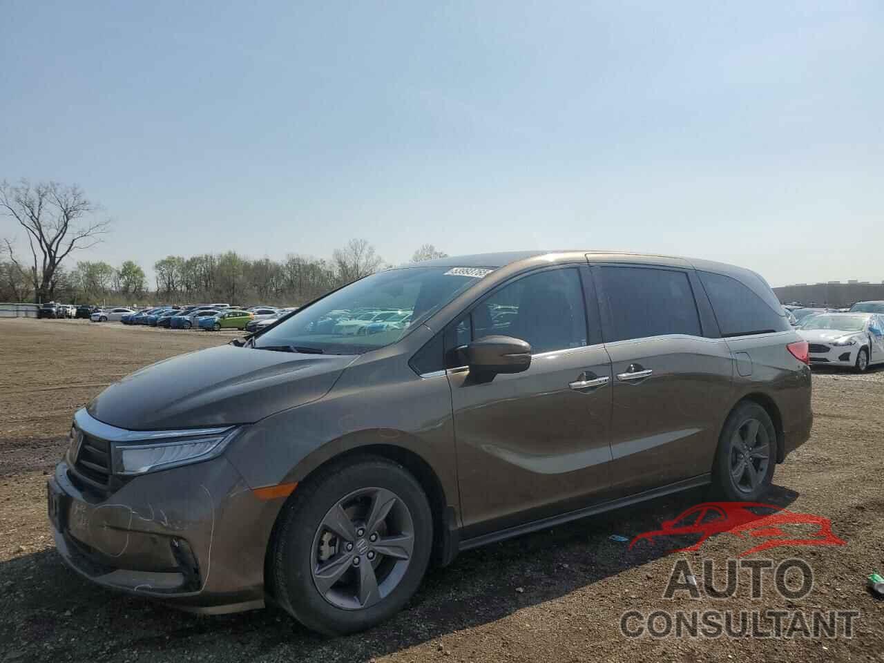 HONDA All Models 2021 - 5FNRL6H53MB035446