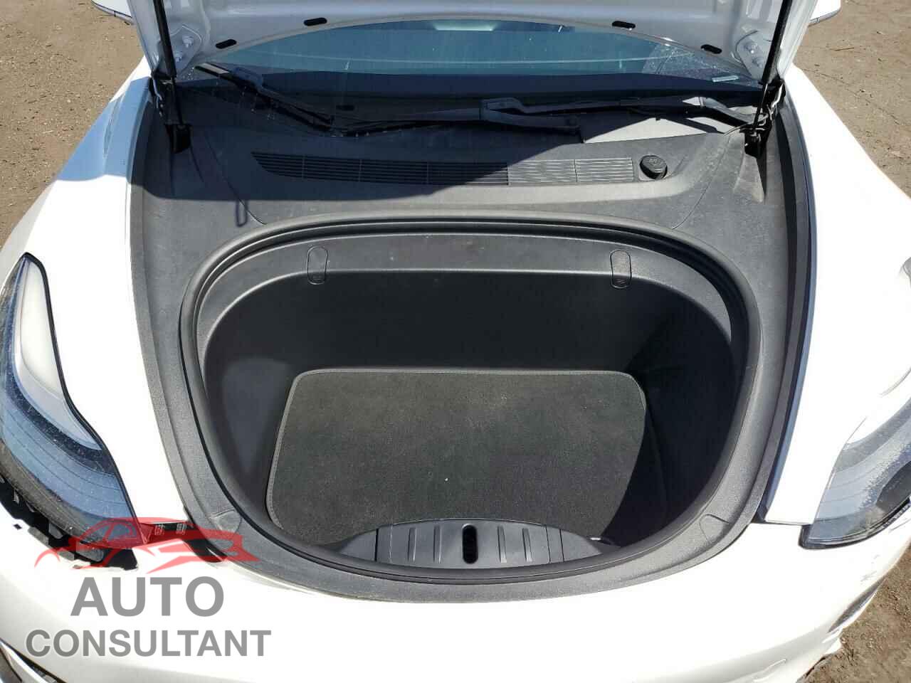 TESLA MODEL 3 2019 - 5YJ3E1EB9KF365750