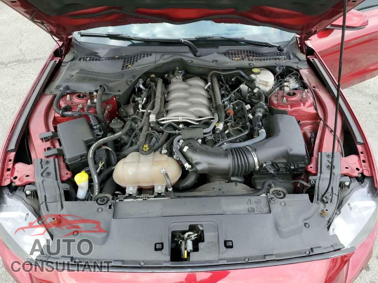 FORD MUSTANG 2019 - 1FA6P8CF0K5123328