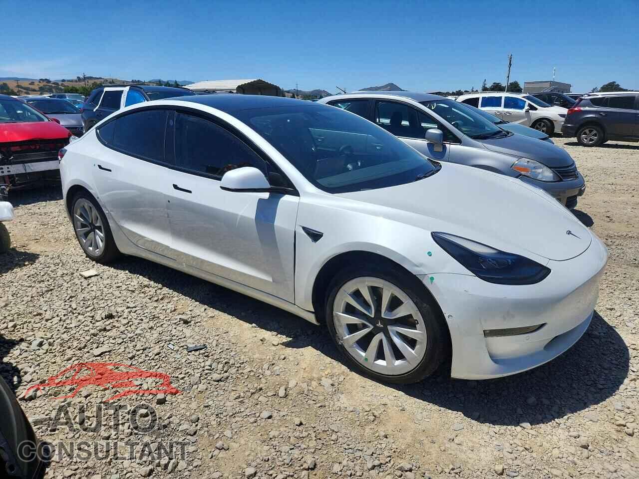 TESLA MODEL 3 2021 - 5YJ3E1EB4MF902253