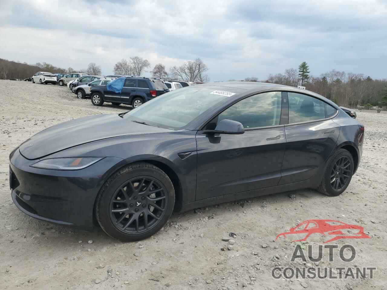 TESLA MODEL 3 2024 - 5YJ3E1EA2RF772519