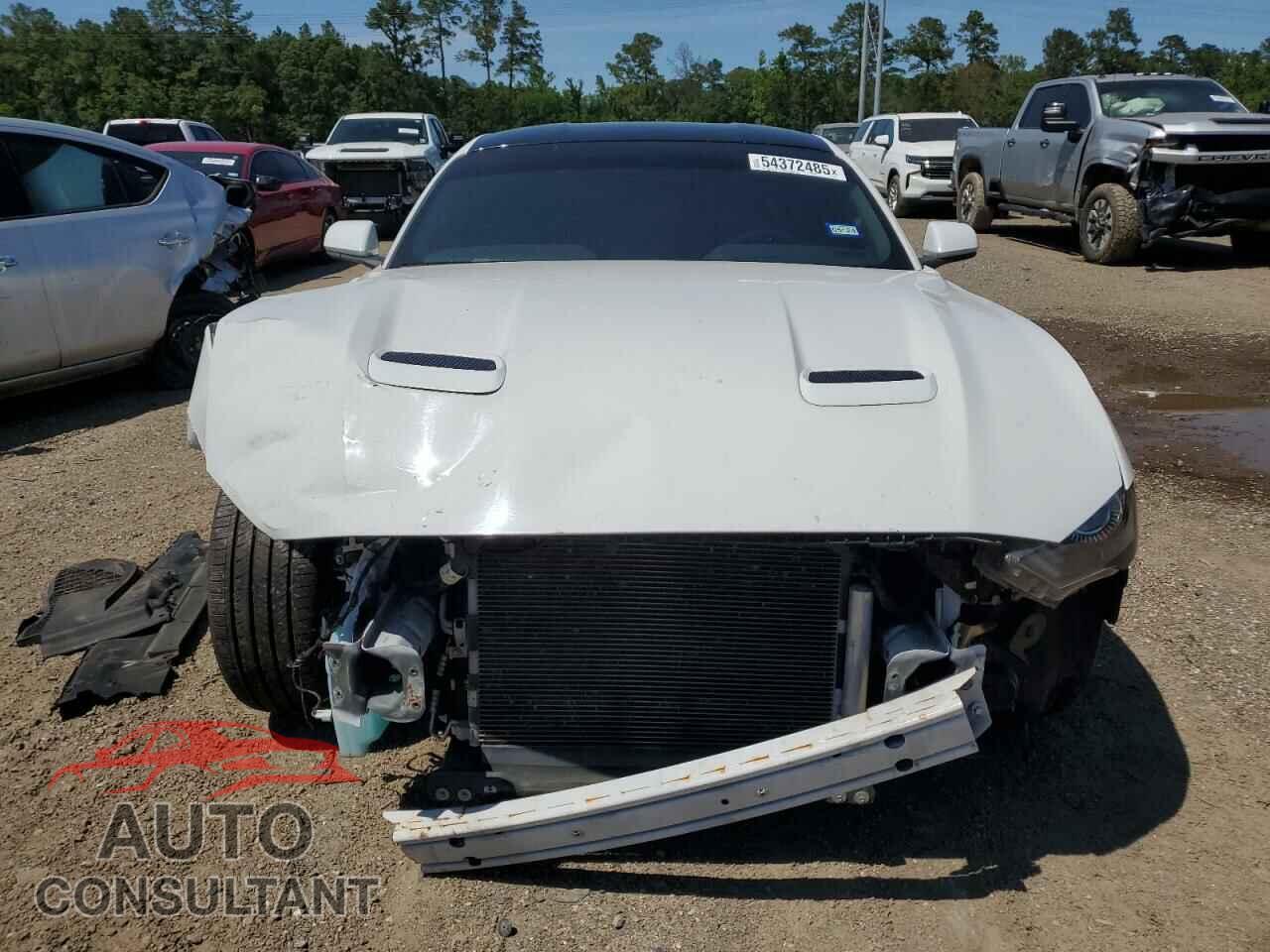 FORD MUSTANG 2020 - 1FA6P8CF0L5153723