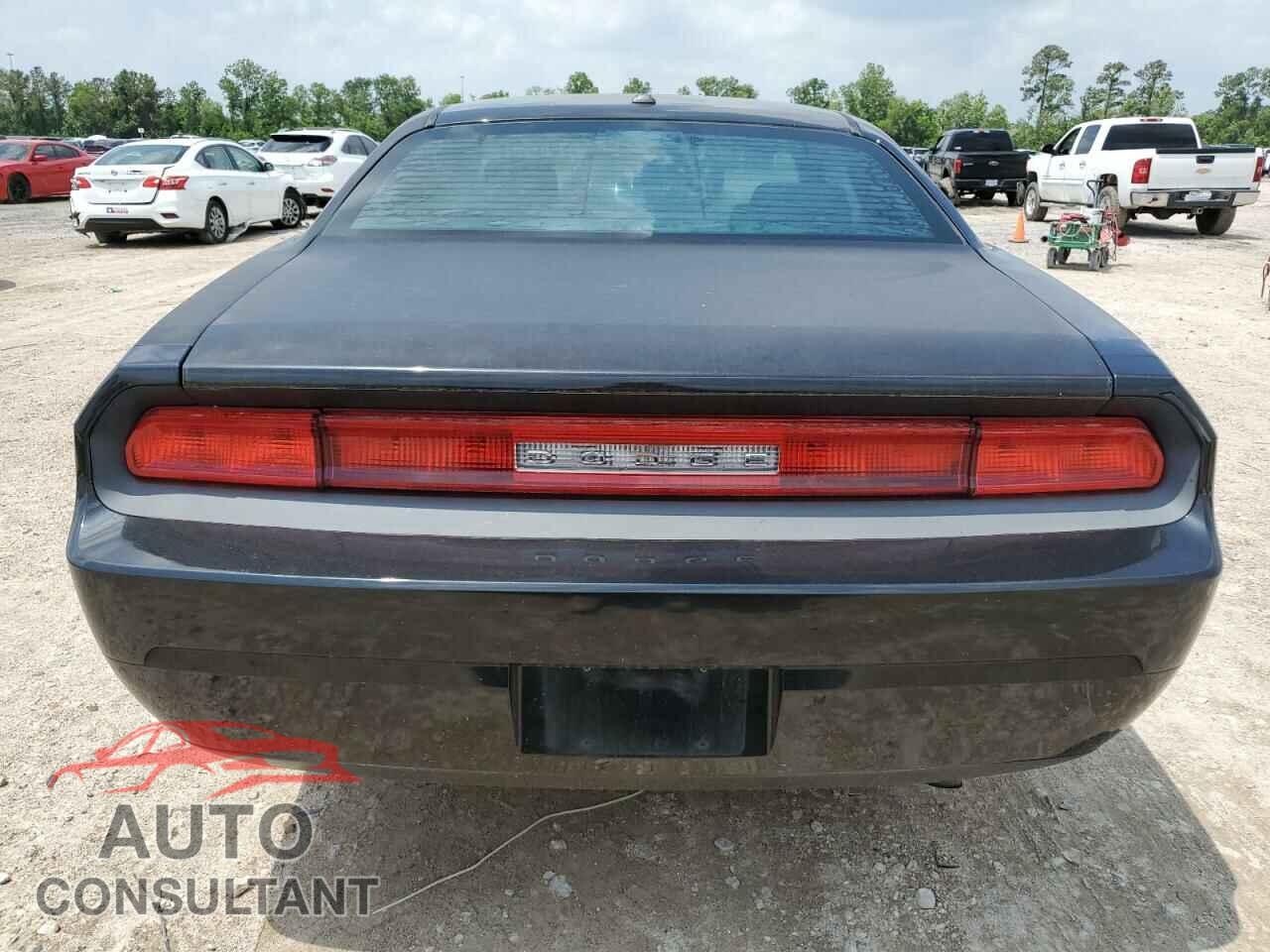 DODGE CHALLENGER 2010 - 2B3CJ4DV5AH200085