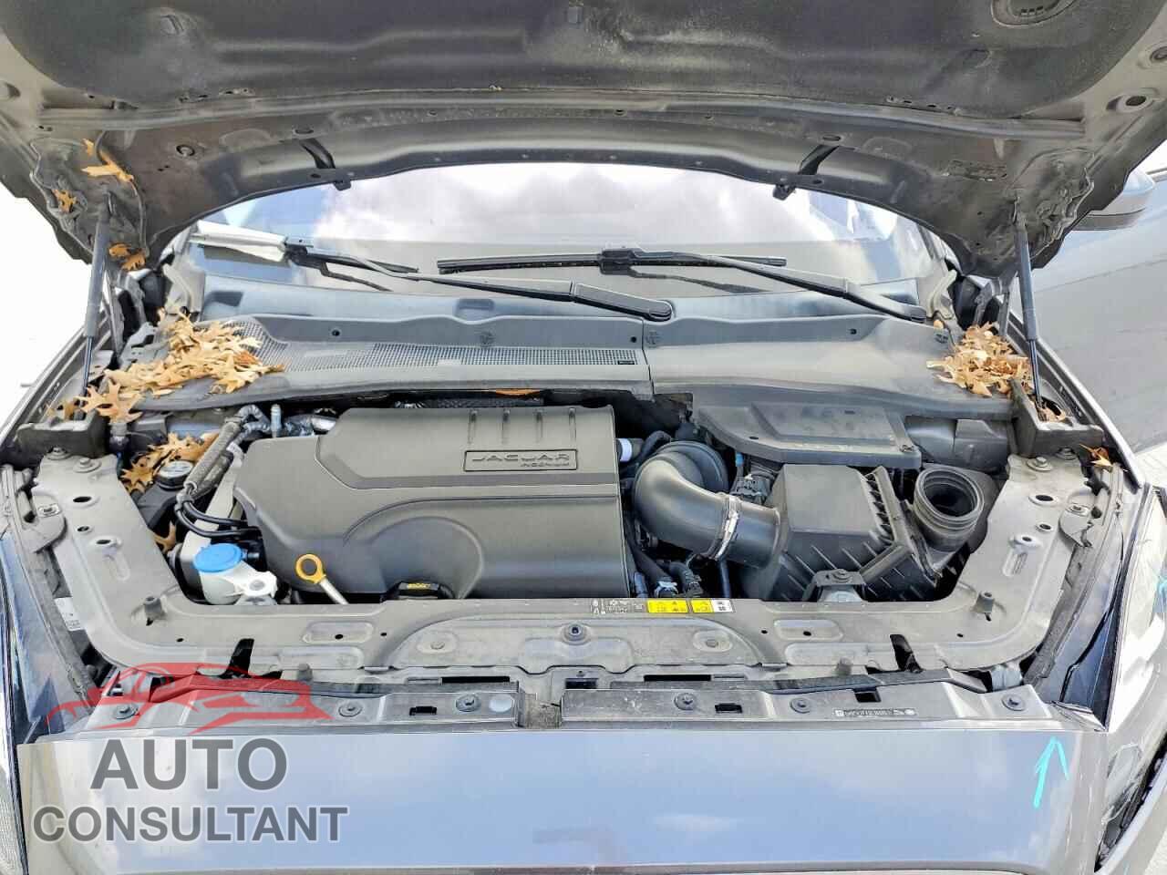 JAGUAR ETYPE 2020 - SADFK2FX3L1008617
