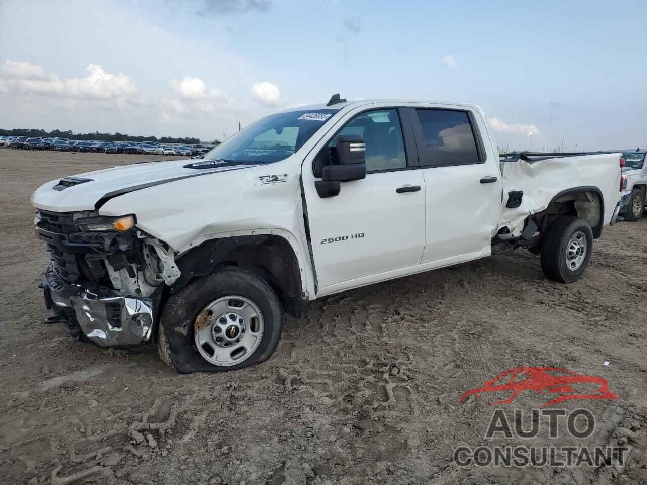 CHEVROLET ALL Models 2024 - 1GC4YLE79RF221902