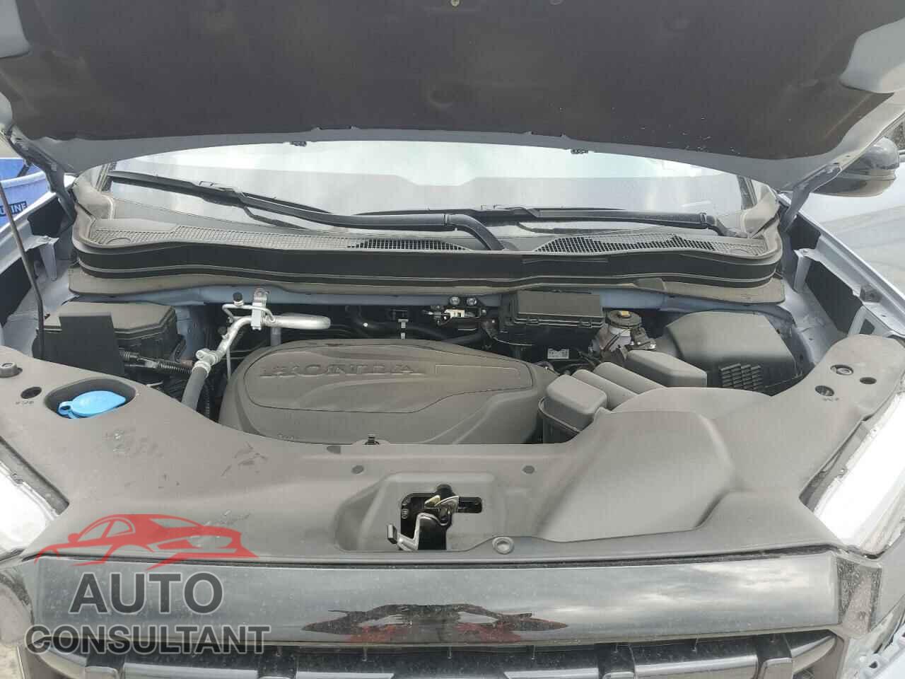 HONDA RIDGELINE 2024 - 5FPYK3F12RB032145