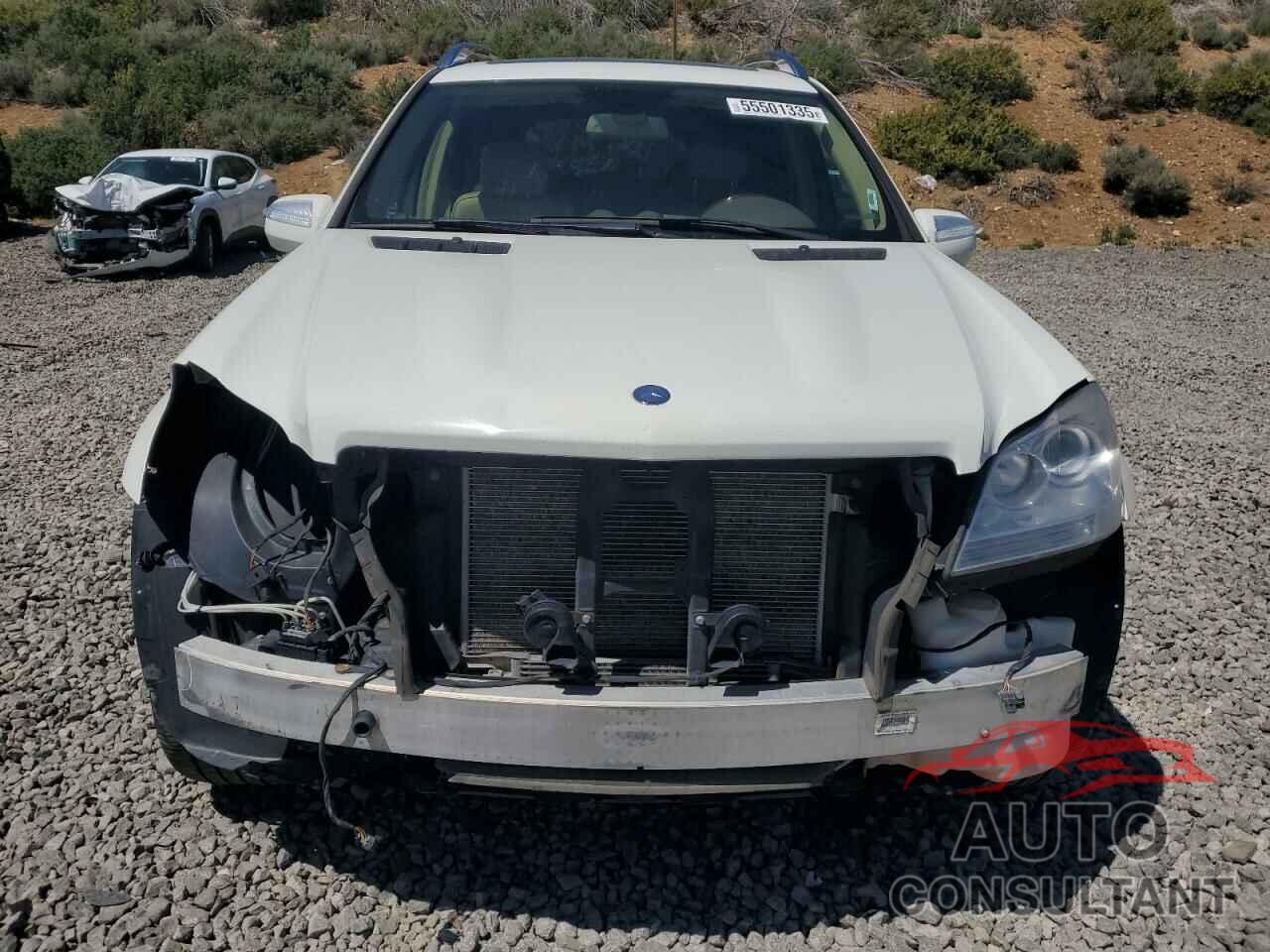 MERCEDES-BENZ GL-CLASS 2010 - 4JGBF7BE4AA588162
