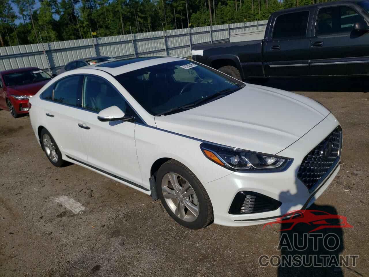HYUNDAI SONATA 2019 - 5NPE34AF5KH801455