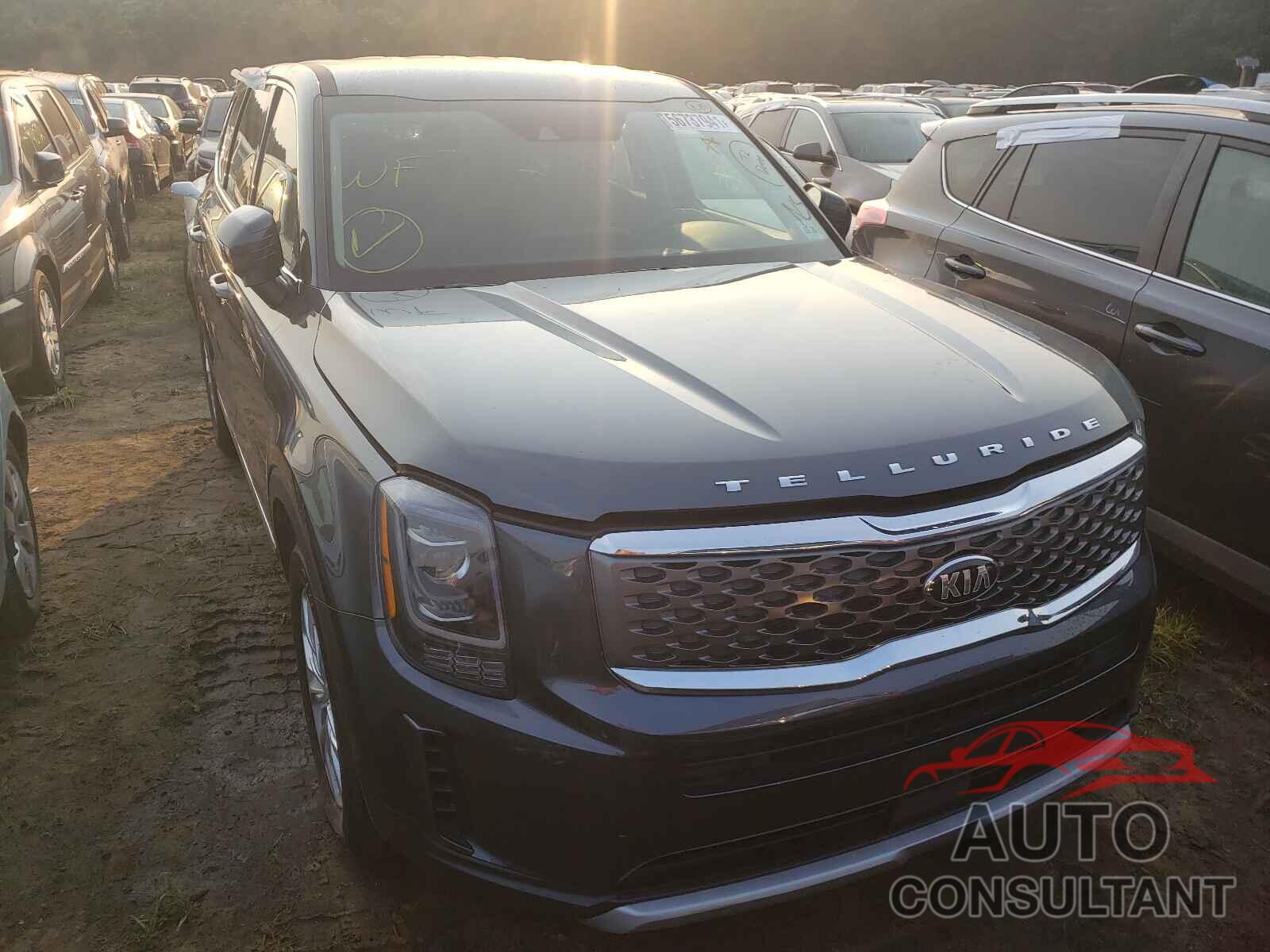 KIA TELLURIDE 2021 - 5XYP2DHC9MG121611