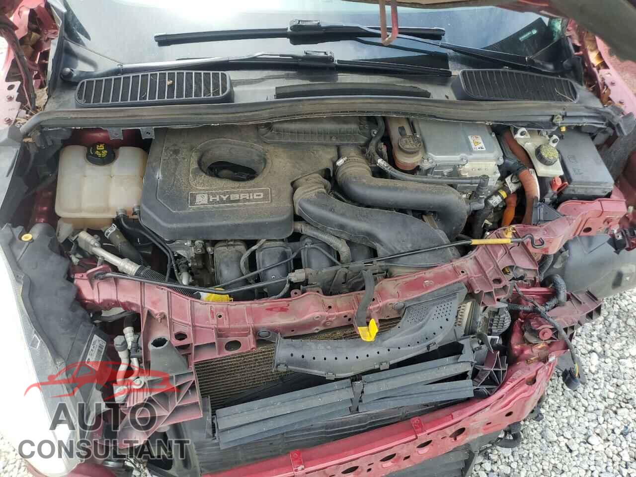 FORD CMAX 2014 - 1FADP5BU6EL515817