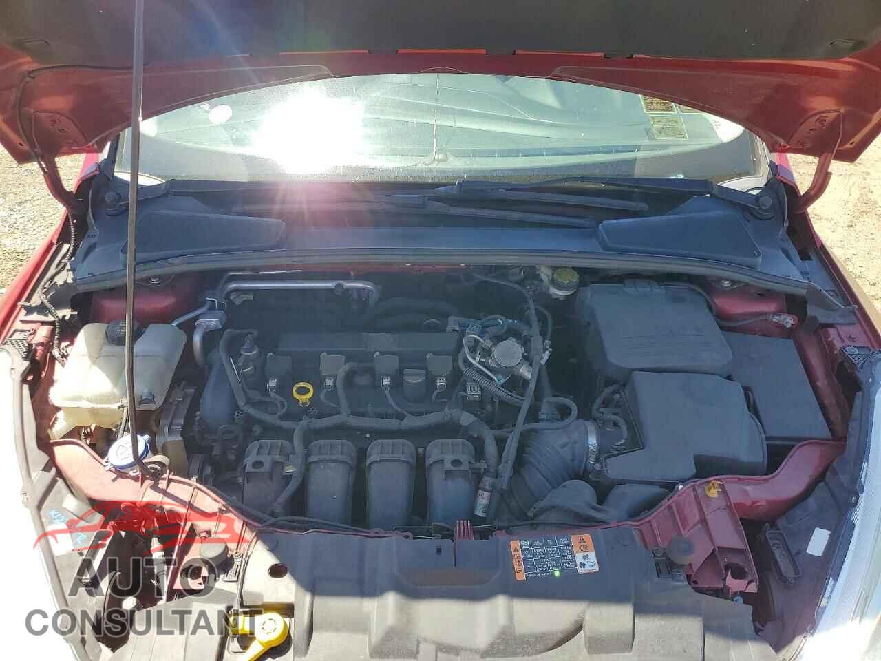 FORD FOCUS 2016 - 1FADP3F24GL329063