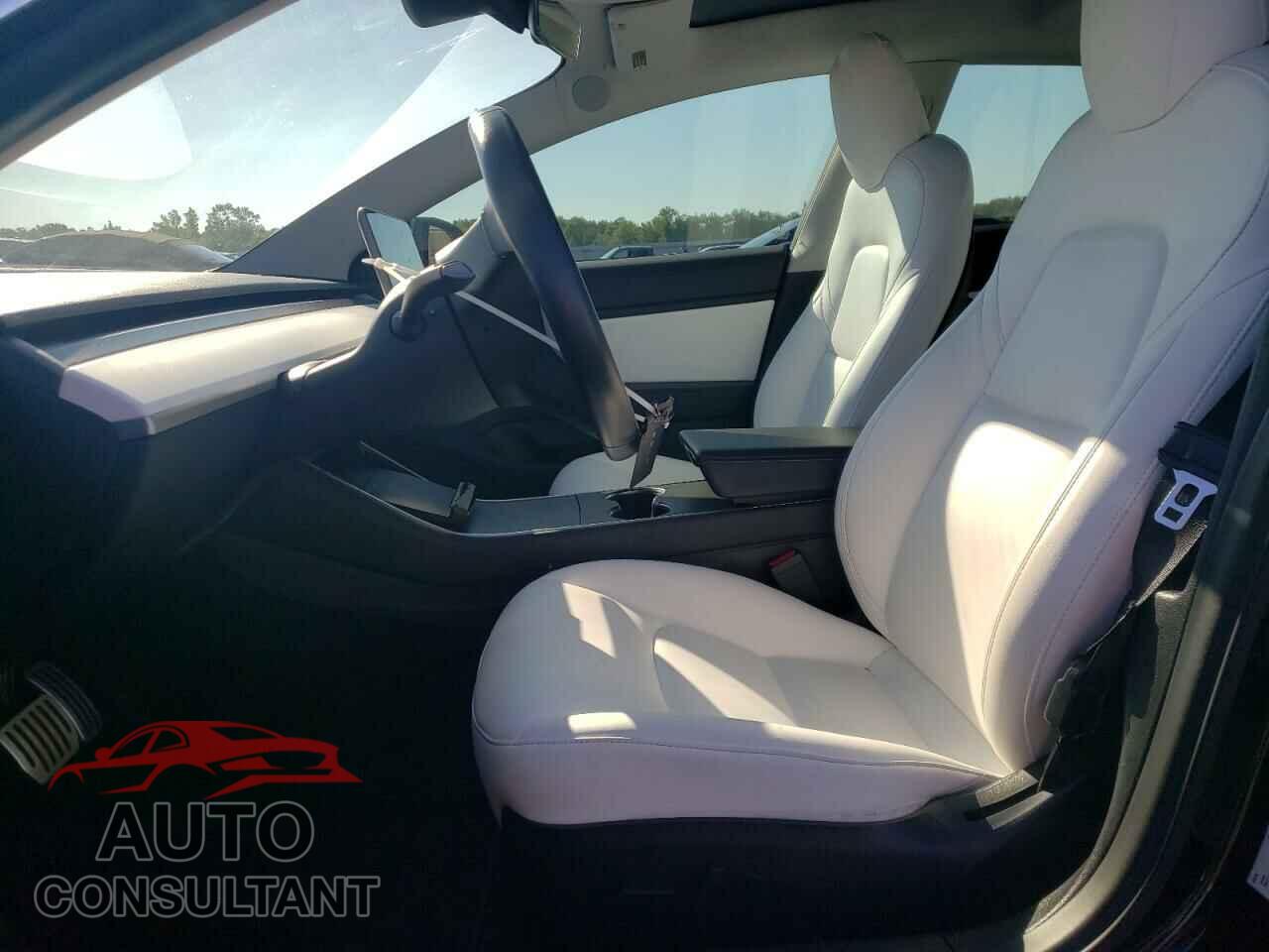 TESLA MODEL 3 2019 - 5YJ3E1EB0KF393260