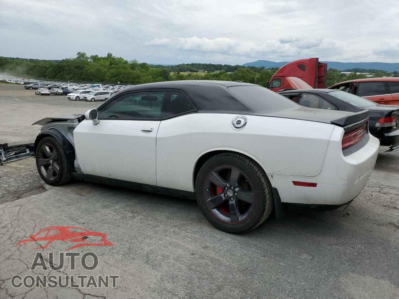 DODGE CHALLENGER 2013 - 2C3CDYBT8DH653236