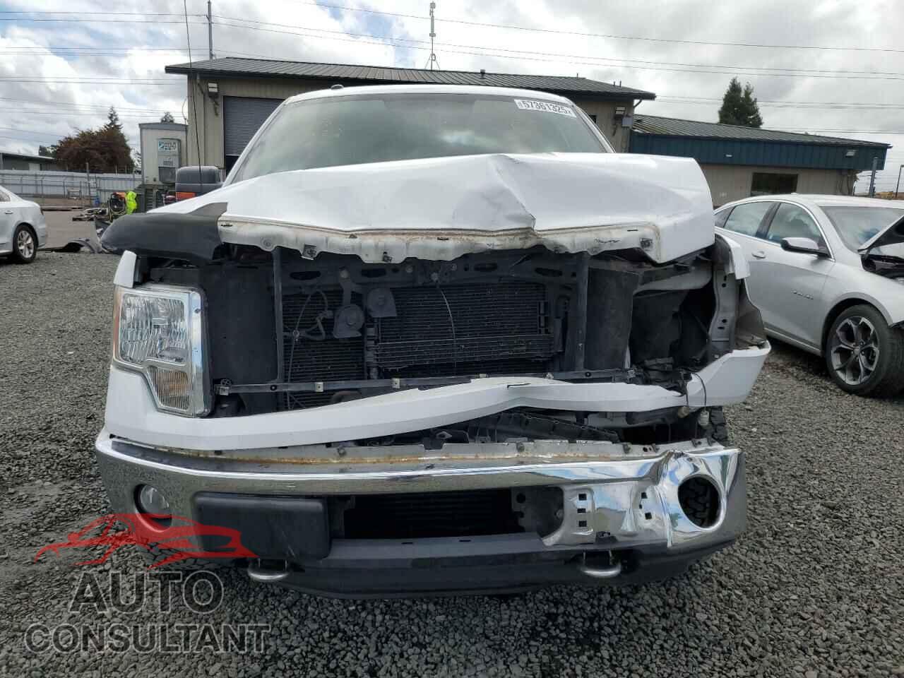 FORD F-150 2011 - 1FTFW1ET7BFA63209