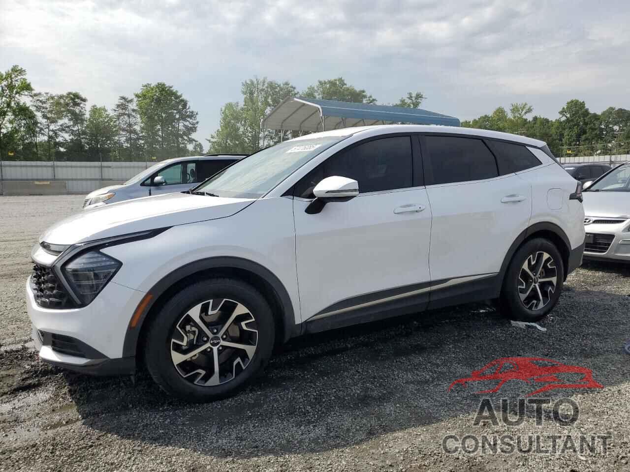 KIA SPORTAGE 2024 - 5XYK33DF3RG150692