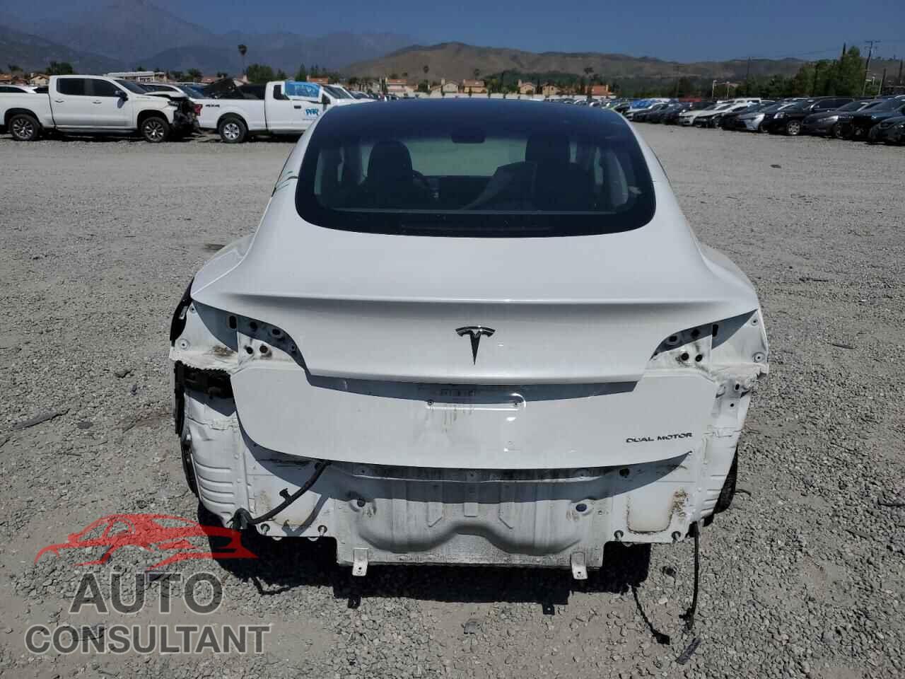 TESLA MODEL 3 2021 - 5YJ3E1EB3MF937981