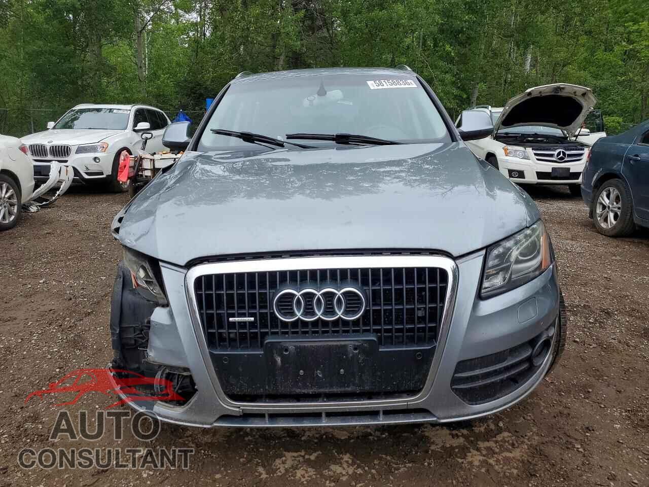 AUDI Q5 2010 - WA1LKCFP5AA085159