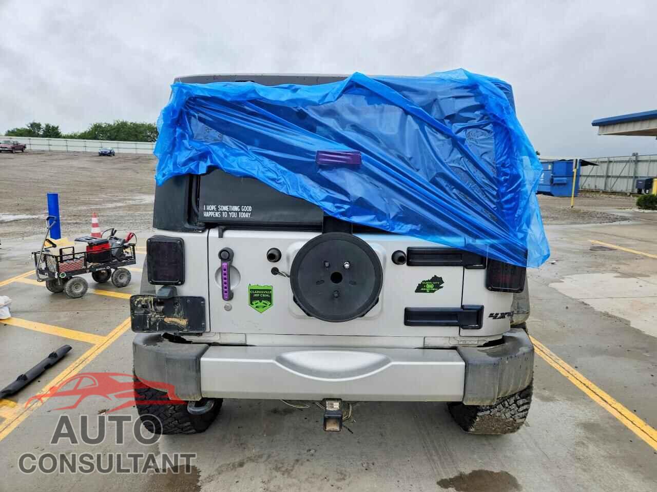 JEEP WRANGLER 2011 - 1J4AA5D10BL503251