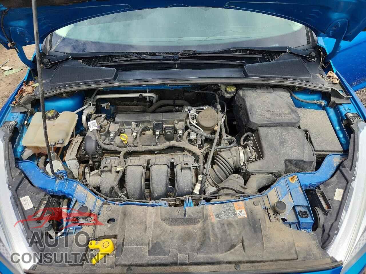 FORD FOCUS 2016 - 1FADP3F29GL251072