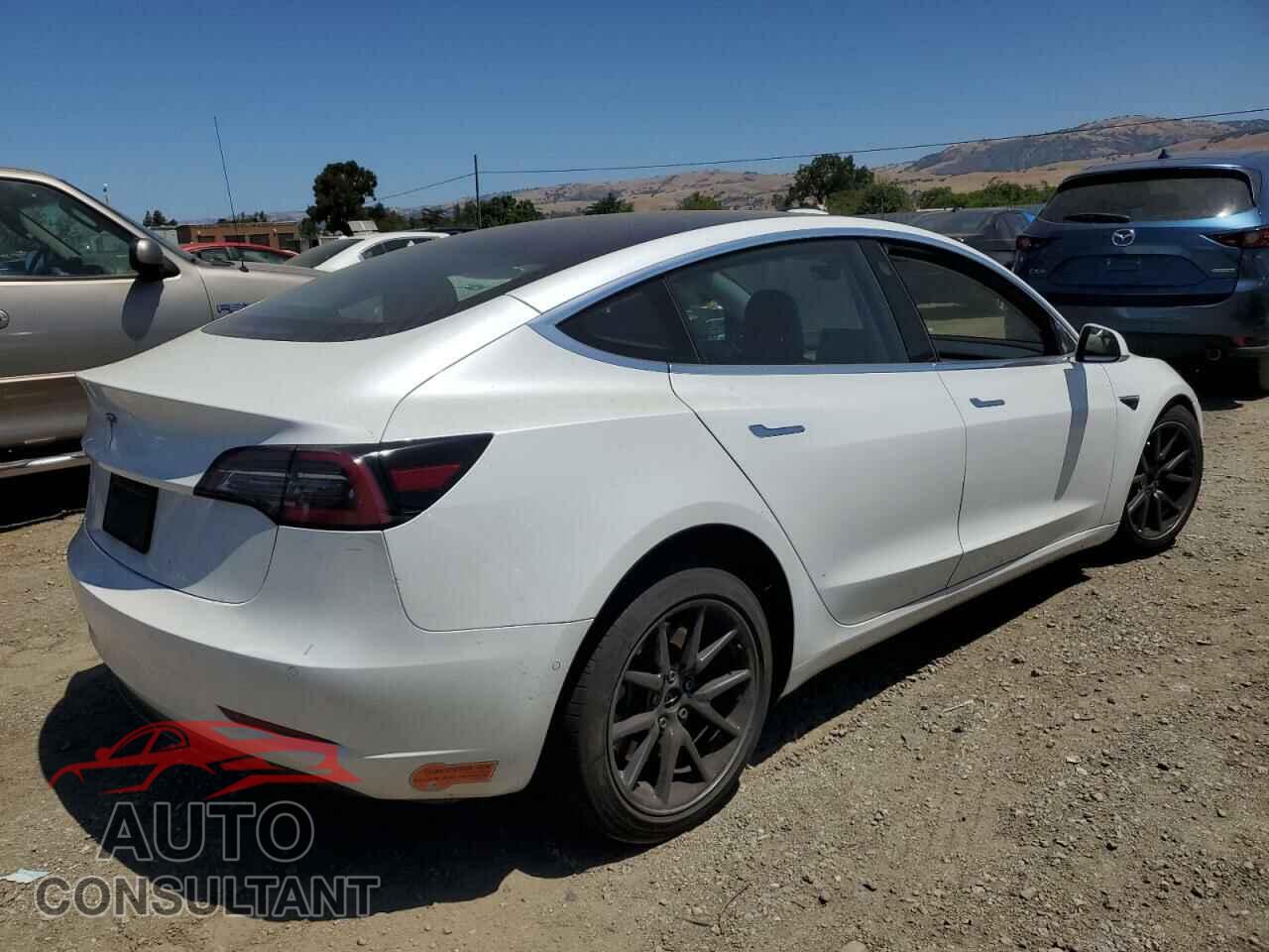 TESLA MODEL 3 2020 - 5YJ3E1EAXLF613576